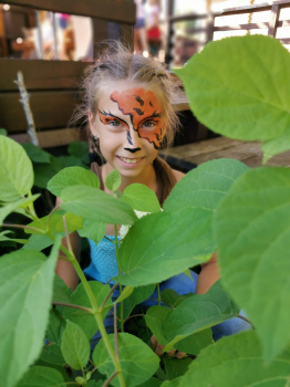 София Дряхлова