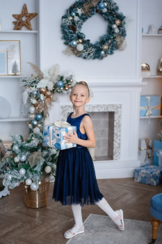 Агния Холодова