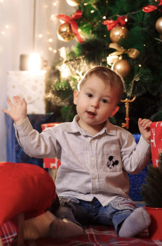 Ребров Олег